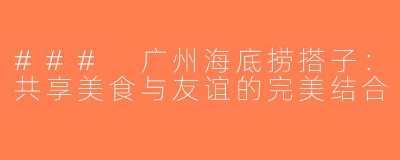 ### 广州海底捞搭子：共享美食与友谊的完美结合