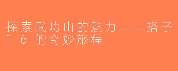 探索武功山的魅力——搭子16的奇妙旅程