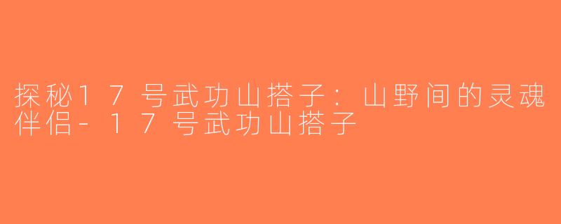 探秘17号武功山搭子：山野间的灵魂伴侣-17号武功山搭子