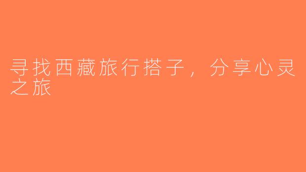 寻找西藏旅行搭子，分享心灵之旅