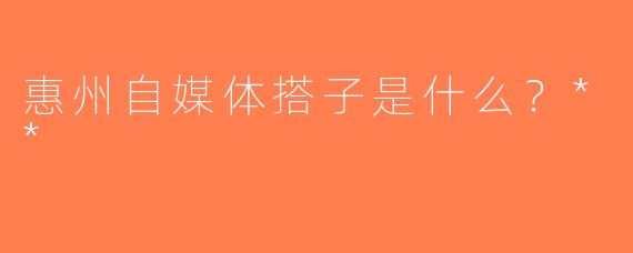 惠州自媒体搭子是什么？**