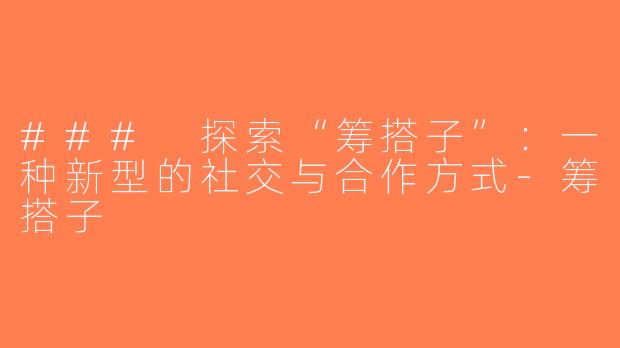 ### 探索“筹搭子”：一种新型的社交与合作方式-筹搭子