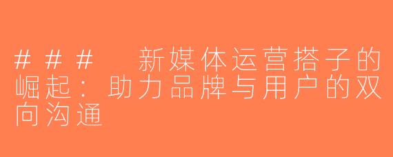 ### 新媒体运营搭子的崛起：助力品牌与用户的双向沟通