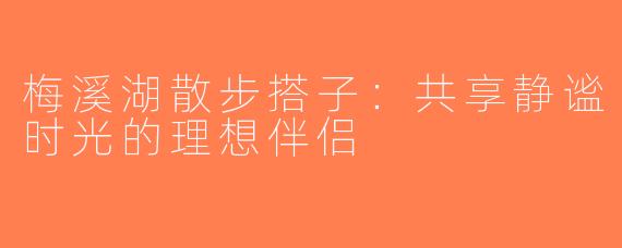 梅溪湖散步搭子：共享静谧时光的理想伴侣