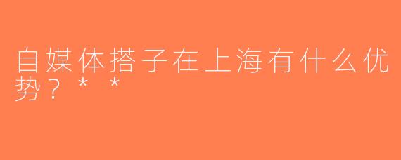 自媒体搭子在上海有什么优势？**