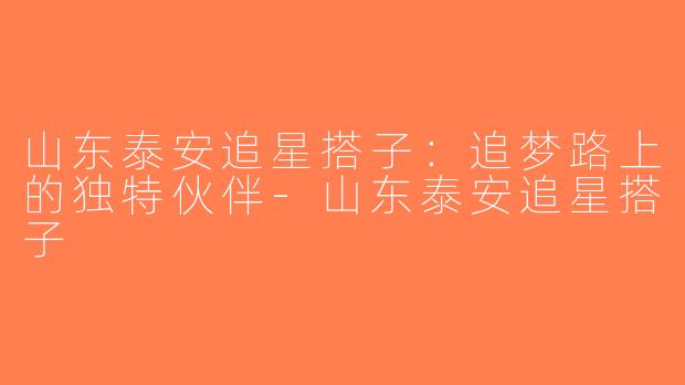 山东泰安追星搭子：追梦路上的独特伙伴-山东泰安追星搭子