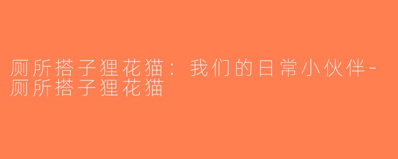 厕所搭子狸花猫：我们的日常小伙伴-厕所搭子狸花猫
