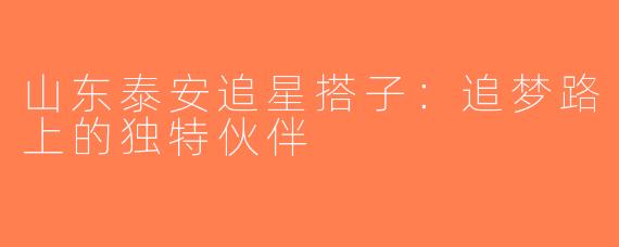 山东泰安追星搭子：追梦路上的独特伙伴