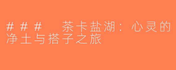 ### 茶卡盐湖：心灵的净土与搭子之旅