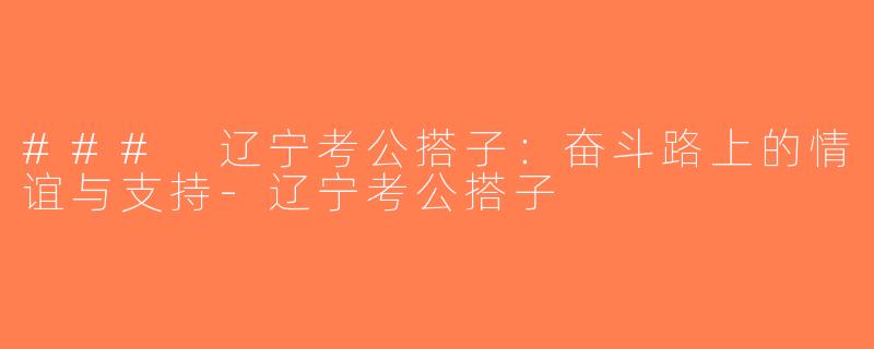 ### 辽宁考公搭子：奋斗路上的情谊与支持-辽宁考公搭子