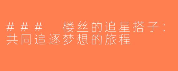 ### 楼丝的追星搭子：共同追逐梦想的旅程