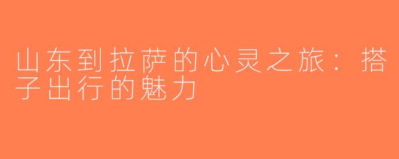 山东到拉萨的心灵之旅：搭子出行的魅力