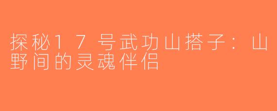 探秘17号武功山搭子：山野间的灵魂伴侣