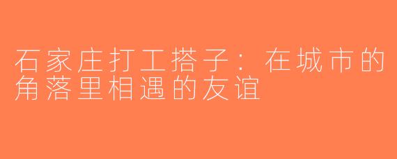 石家庄打工搭子：在城市的角落里相遇的友谊