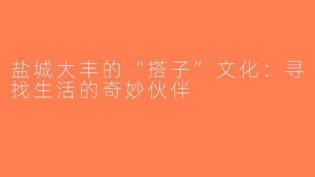 盐城大丰的“搭子”文化：寻找生活的奇妙伙伴
