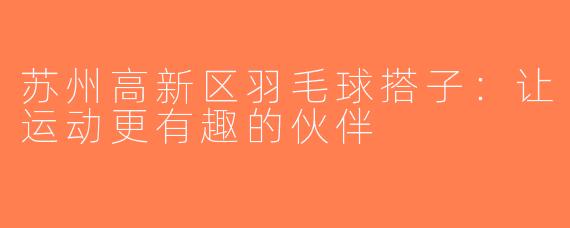 苏州高新区羽毛球搭子：让运动更有趣的伙伴