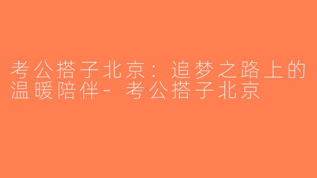 考公搭子北京：追梦之路上的温暖陪伴-考公搭子北京