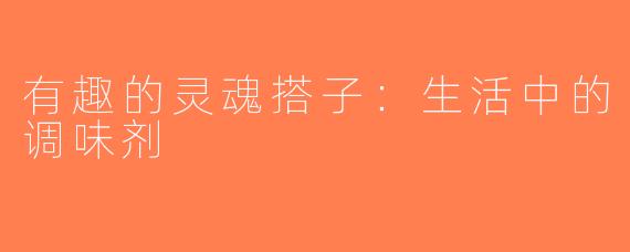 有趣的灵魂搭子：生活中的调味剂