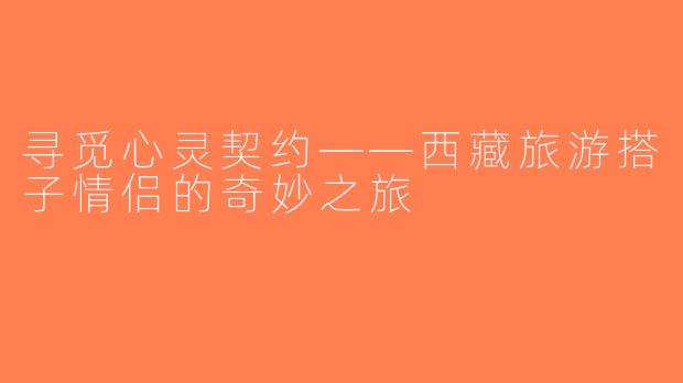 寻觅心灵契约——西藏旅游搭子情侣的奇妙之旅