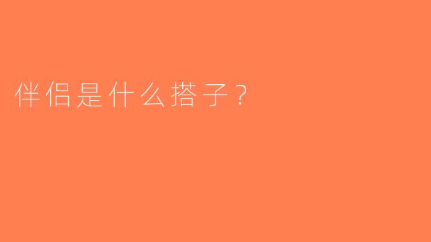 伴侣是什么搭子？