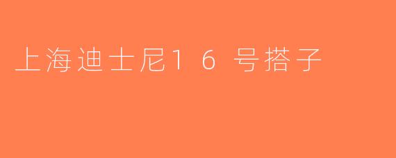 上海迪士尼16号搭子