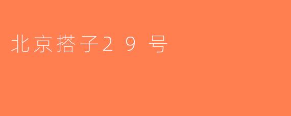 北京搭子29号