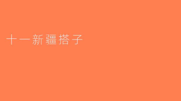 十一新疆搭子