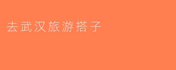 去武汉旅游搭子
