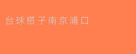 台球搭子南京浦口
