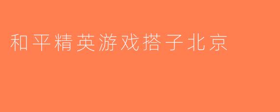 和平精英游戏搭子北京