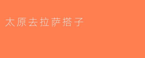 太原去拉萨搭子