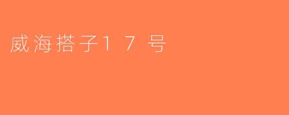 威海搭子17号