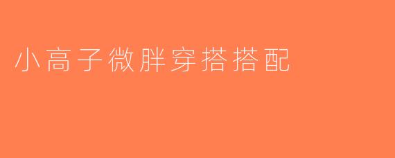 小高子微胖穿搭搭配