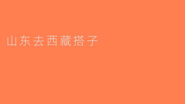 山东去西藏搭子