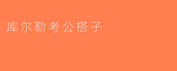 库尔勒考公搭子