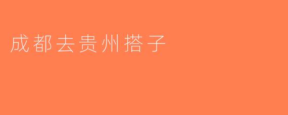 成都去贵州搭子