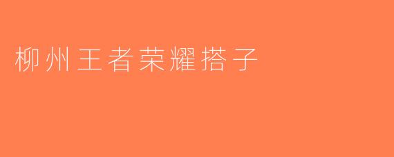 柳州王者荣耀搭子