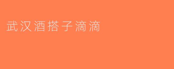 武汉酒搭子滴滴