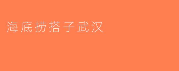 海底捞搭子武汉