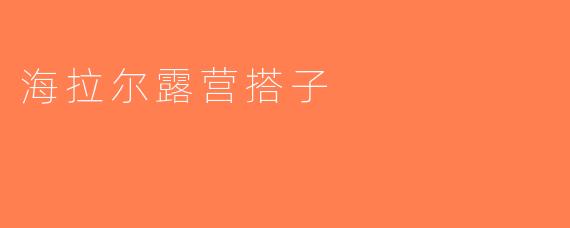 海拉尔露营搭子