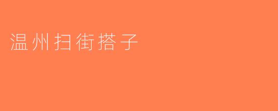 温州扫街搭子