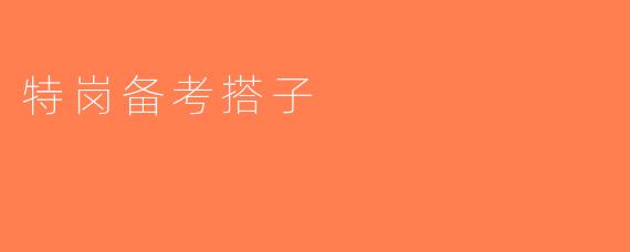 特岗备考搭子