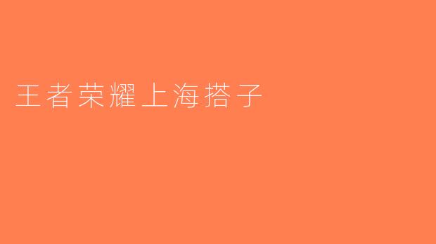 王者荣耀上海搭子