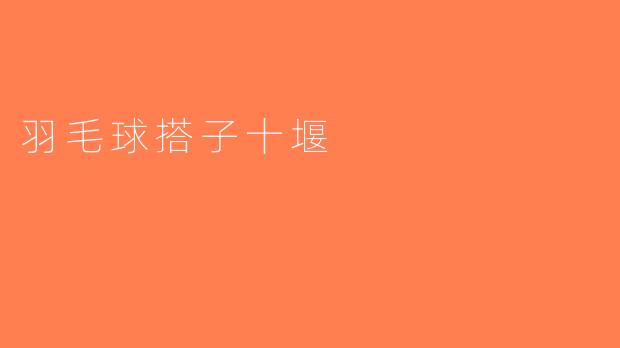羽毛球搭子十堰