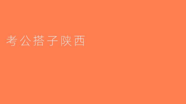 考公搭子陕西