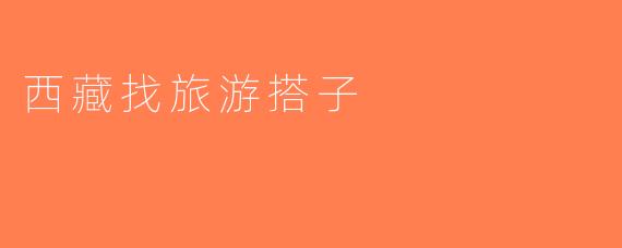 西藏找旅游搭子