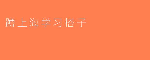 蹲上海学习搭子