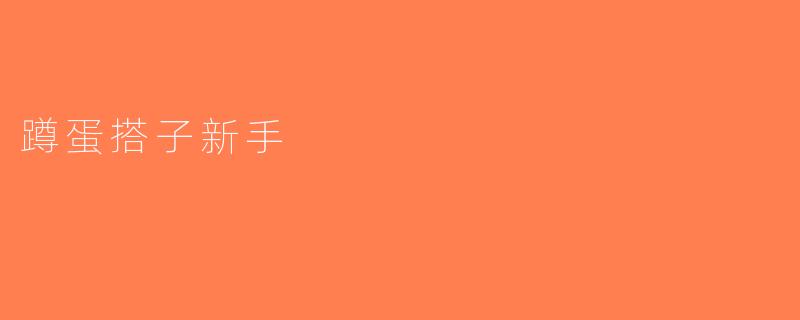 蹲蛋搭子新手