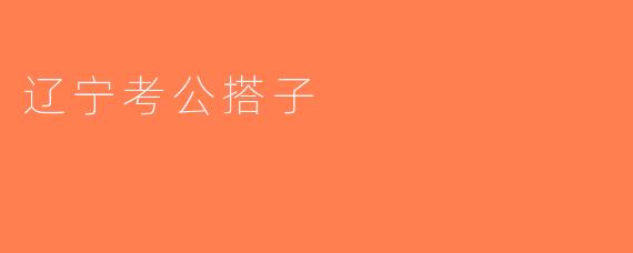辽宁考公搭子