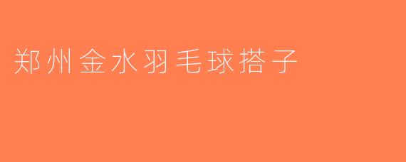 郑州金水羽毛球搭子